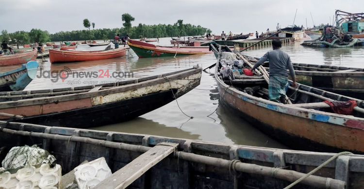 পানির প্রবাহ বদল-দূষণে সাগরে কমছে ইলিশ