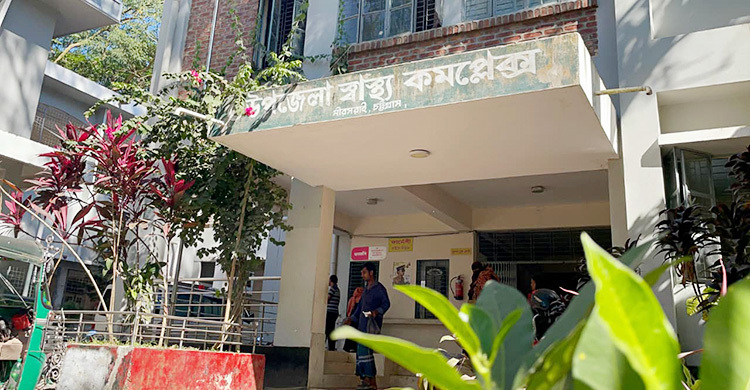 মিরসরাইয়ে মৌমাছির কামড়ে ৩ মাদরাসাছাত্র আহত