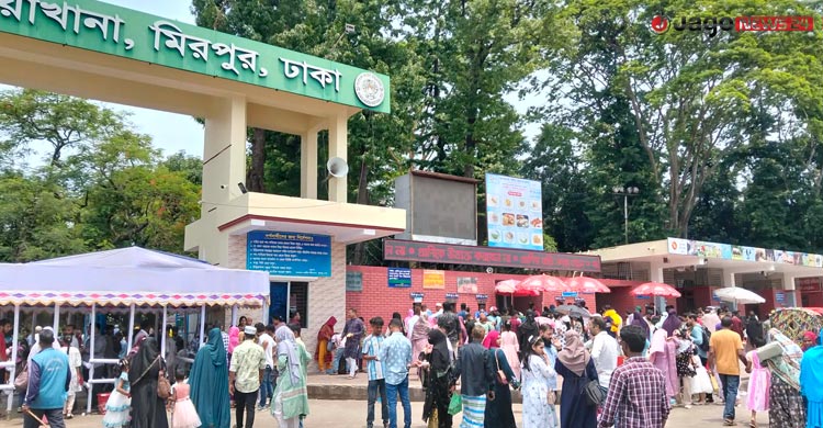 ঈদের দ্বিতীয় দিন: সকাল থেকেই চিড়িয়াখানায় দর্শনার্থীর ভিড়