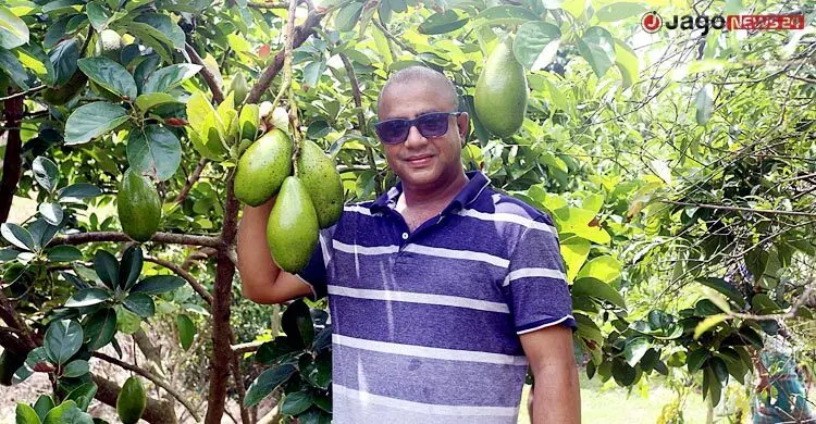 শখ থেকে ৫০ একরের বাগান, পাহাড়ে বিদেশি ফল চাষে সফলতা