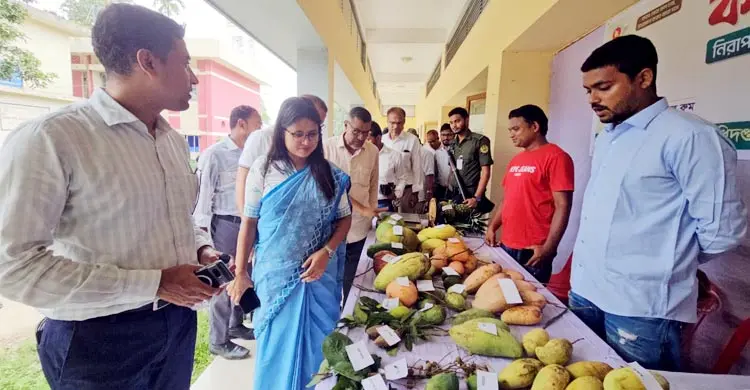 শখ থেকে ৫০ একরের বাগান, পাহাড়ে বিদেশি ফল চাষে সফলতা