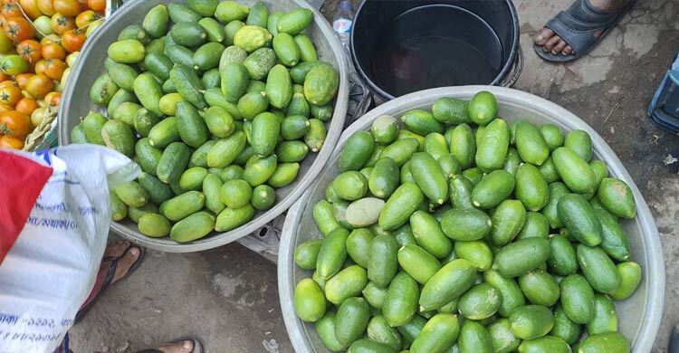 মিরসরাইয়ে লেবুর হালি ১০০ টাকা