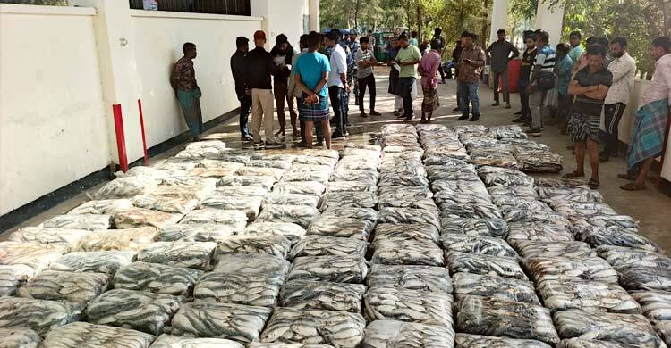 সীতাকুণ্ডে ৯ লাখ টাকার জাটকা জব্দ, গেলো এতিমখানায়