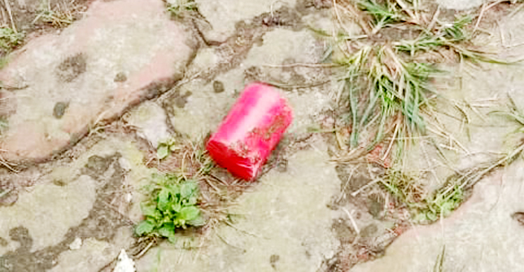 মির্জা আব্বাসের বাসায় ককটেল নিক্ষেপ