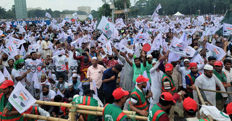 দলীয় পতাকায় ছেয়ে গেছে সোহরাওয়ার্দী উদ্যান