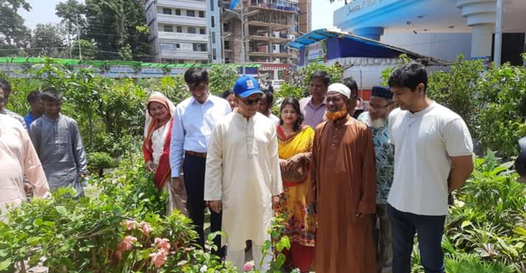 ৪০০ প্রজাতির গাছ দিয়ে ময়মনসিংহ সিটিতে বৃক্ষমেলা শুরু