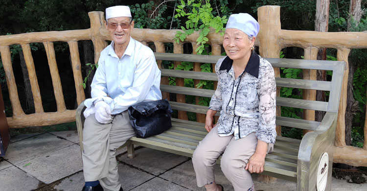 নিংসিয়া এবং ‘আটটি অমূল্য উপাদানে তৈরি চা’