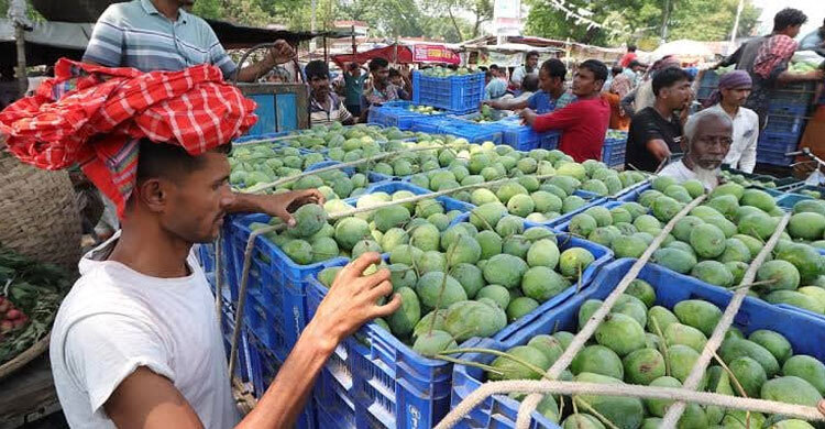 রাজশাহীতে আম বেচাকেনায় ‘ঢলন’ প্রথা বন্ধের সিদ্ধান্