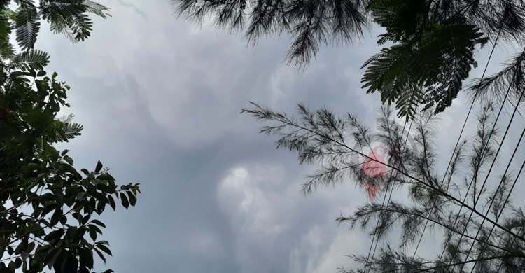 তীব্র তাপপ্রবাহের পর মোংলায় গুঁড়ি গুঁড়ি বৃষ্টি, বাতাসে স্বস্তি