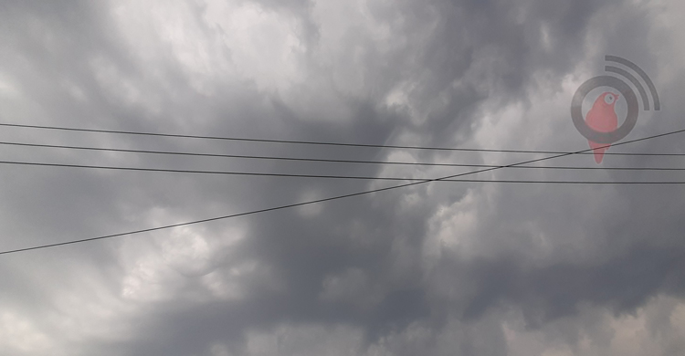 তীব্র তাপপ্রবাহের পর মোংলায় গুঁড়ি গুঁড়ি বৃষ্টি, বাতাসে স্বস্তি