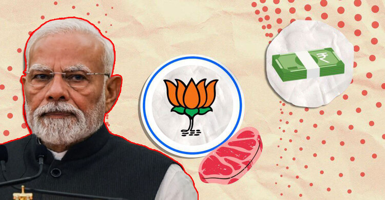 ভারতে শীর্ষ গরুর মাংস রপ্তানিকারকের সর্বোচ্চ অনুদান পায় মোদীর বিজেপি