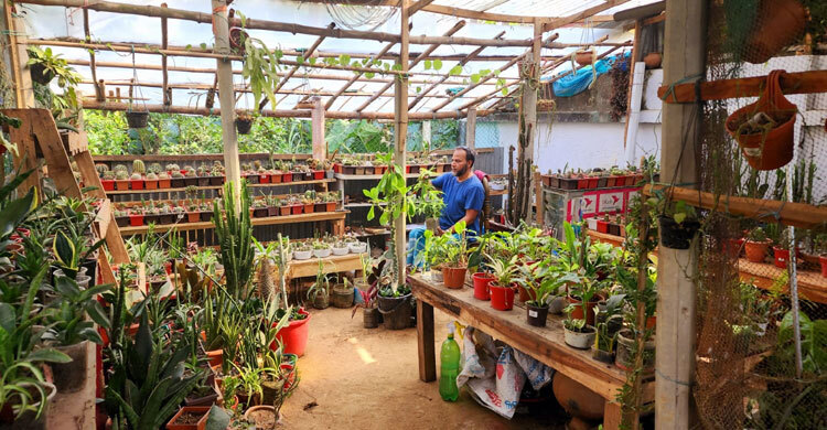 সবুজে ঘেরা জীবনের পাঠশালা