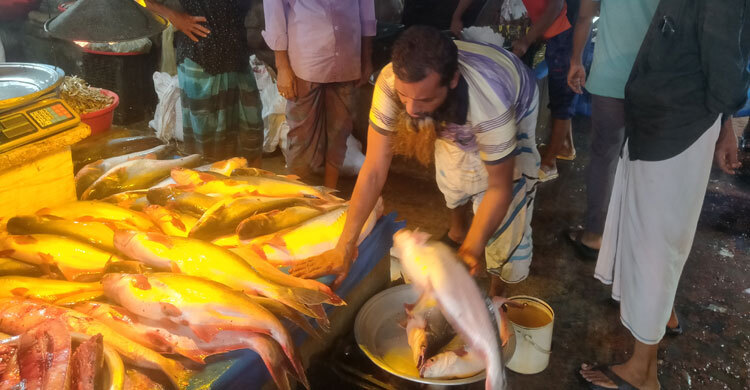 মধ্যবিত্তের নাগালের বাইরে চলে যাচ্ছে পাঙাশ