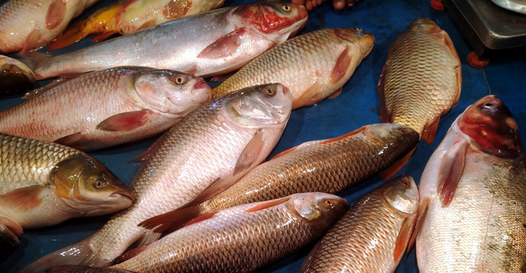 সবজিতে ৩০ টাকা পর্যন্ত বেড়েছে, কমেছে মাছের দাম