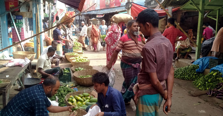 কেজিতে ২০ টাকা পর্যন্ত কমেছে সবজির দাম, বেড়েছে মাছের