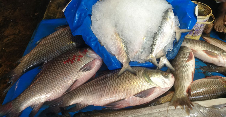 সবজিতে ৩০ টাকা পর্যন্ত বেড়েছে, কমেছে মাছের দাম