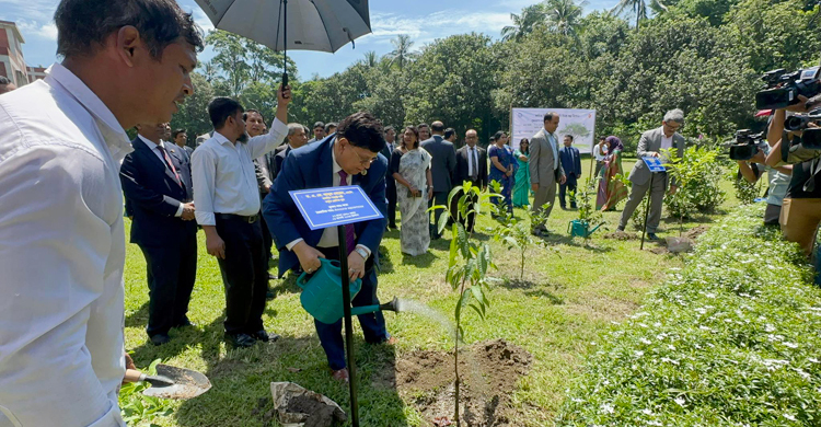 শোকাবহ আগস্ট উপলক্ষে ফরেন সার্ভিস একাডেমিতে বৃক্ষরোপণ