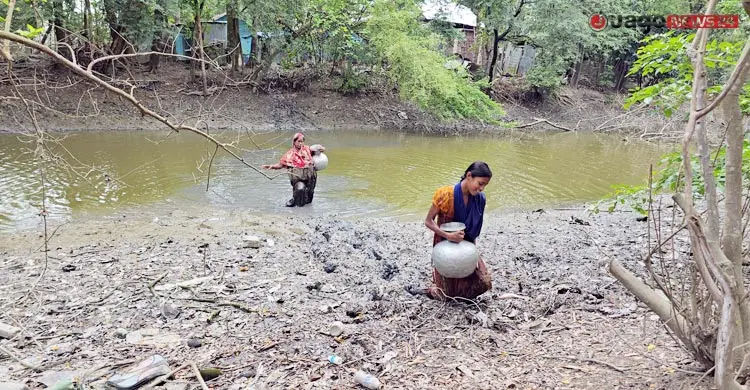 এক ছাগলেই ভাগ্য বদল মমতাজ বেগমের