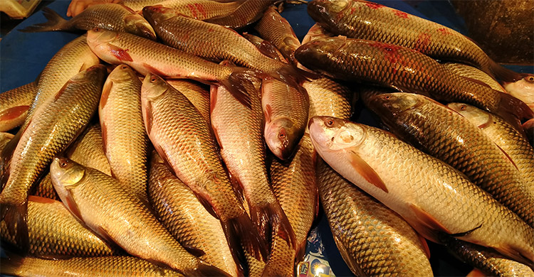 বেড়েছে সবজি-মাছের দাম, কমেছে মুরগির