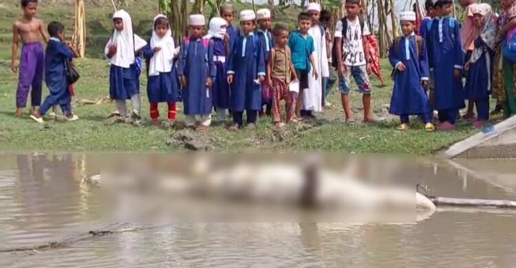 মোংলায় ভেসে এলো গলায় রশি বাঁধা মৃত কুমির