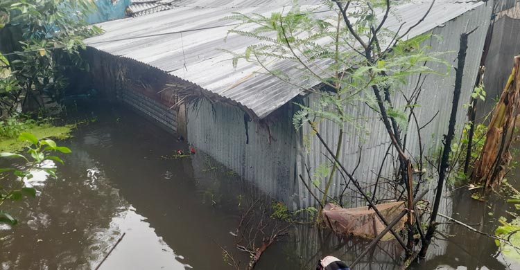 বৃষ্টিতে মোংলায় জলাবদ্ধতা, দুর্ভোগ চরমে