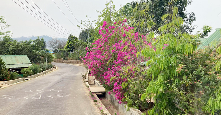 চোখ জুড়ানো মেঘ-পাহাড়ের মুনলাই পাড়া