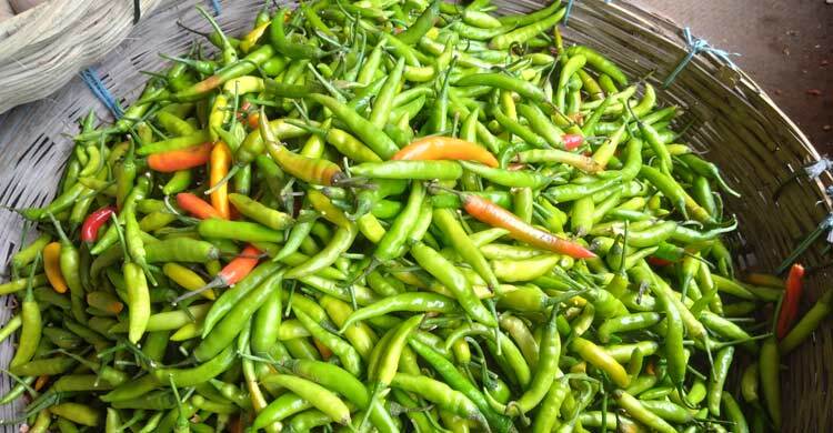 রংপুরে কাঁচা মরিচের ঝাল বেড়েছে