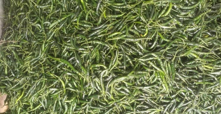 কাঁচা মরিচের কেজি ২৮০