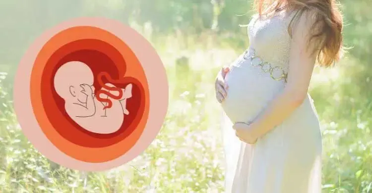 অনাহারে শরীর কাকে আগে বাঁচায়, মা নাকি শিশু?