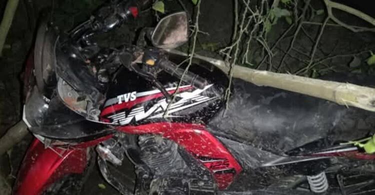 নাটোরে মোটরসাইকেলের নিয়ন্ত্রণ হারিয়ে দুই ভাই নিহত