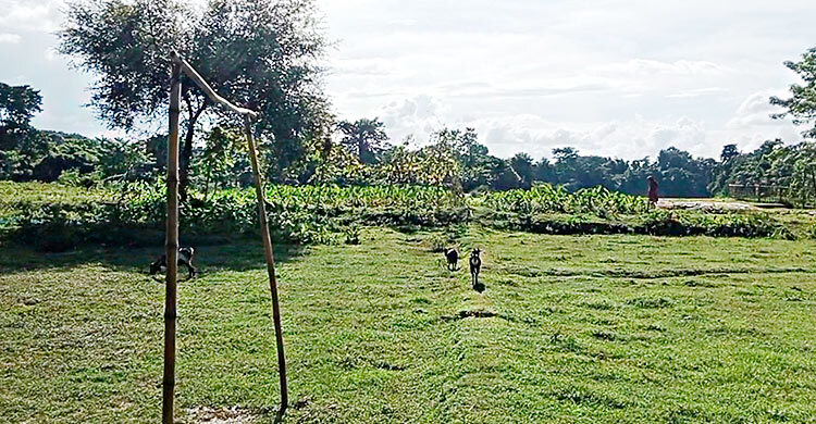 কাঁটাতার ও সড়কের অভাবে সীমান্তে বেপরোয়া চোরাচালানিরা
