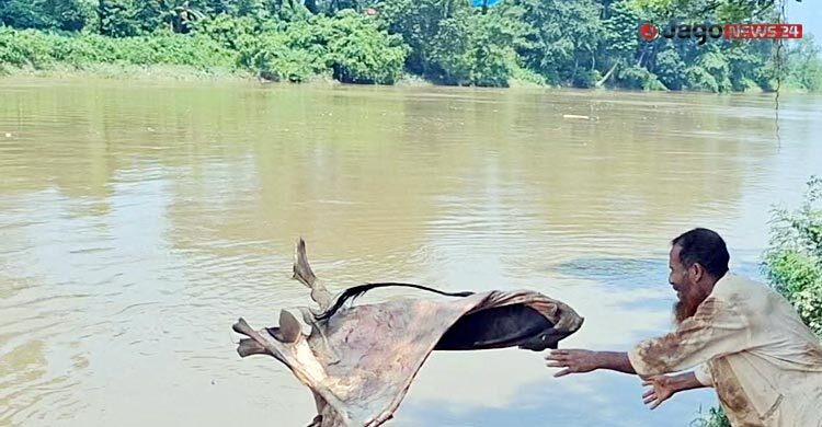 দিনভর অপেক্ষার পর নদীতে ফেলা হলো কোটি টাকার চামড়া