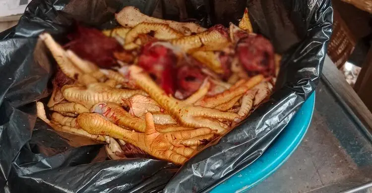সাধ্যের বাইরে ব্রয়লার মুরগি, পা-মাথা কিনছেন নিম্ন আয়ের মানুষ