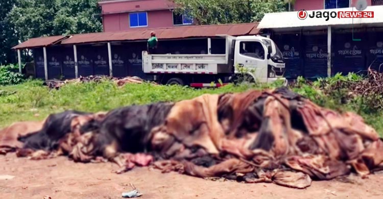 দিনভর অপেক্ষার পর নদীতে ফেলা হলো কোটি টাকার চামড়া