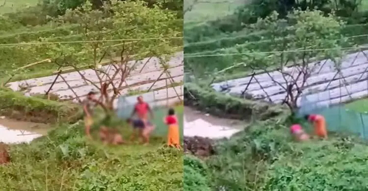 চুরির অপবাদে প্রতিবেশীকে হাত-পা বেঁধে নির্যাতন