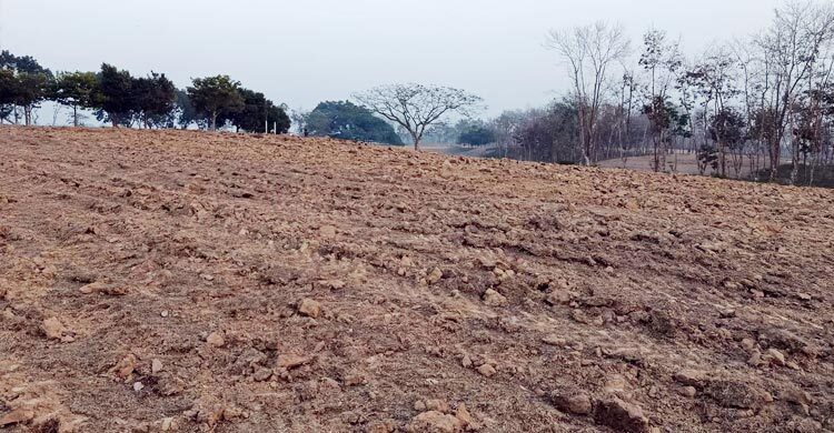 মৌলভীবাজারের গল্ফ মাঠ খুঁড়ে ফেলছে চা বাগান কর্তৃপক্ষ