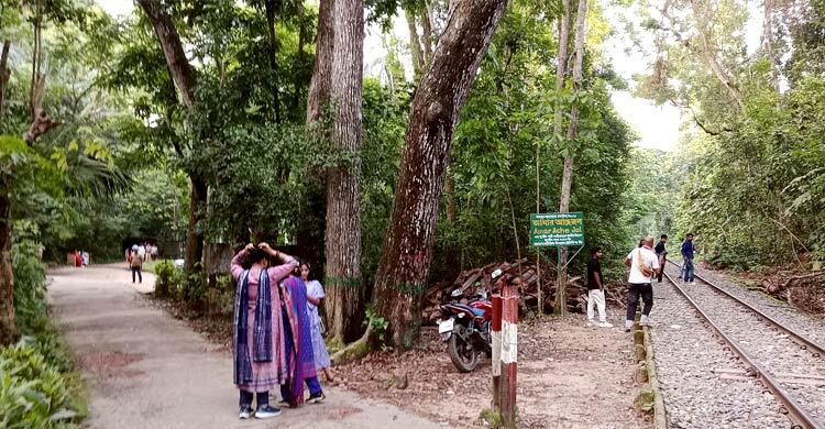 জমেনি মৌলভীবাজারের পর্যটন শিল্প, দুঃশ্চিন্তায় ব্যবসায়ীরা