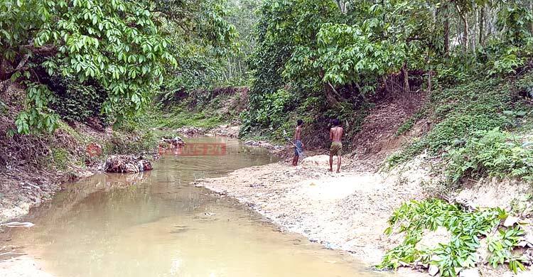লুটপাটে বিপন্ন মৌলভীবাজারের প্রাণ-পরিবেশ