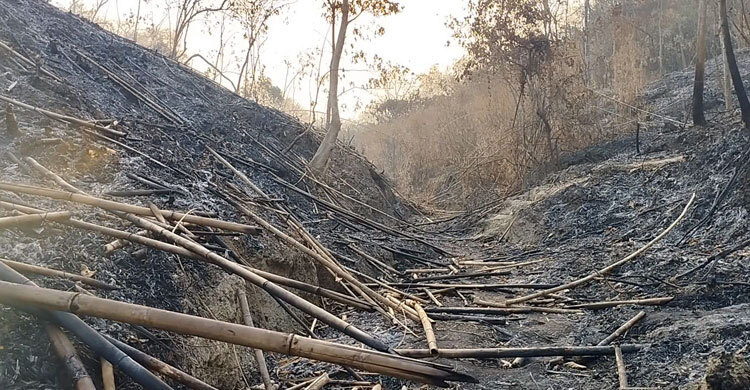 মৌলভীবাজারে ২৩ বাঁশমহালে লুটের মহোৎসব
