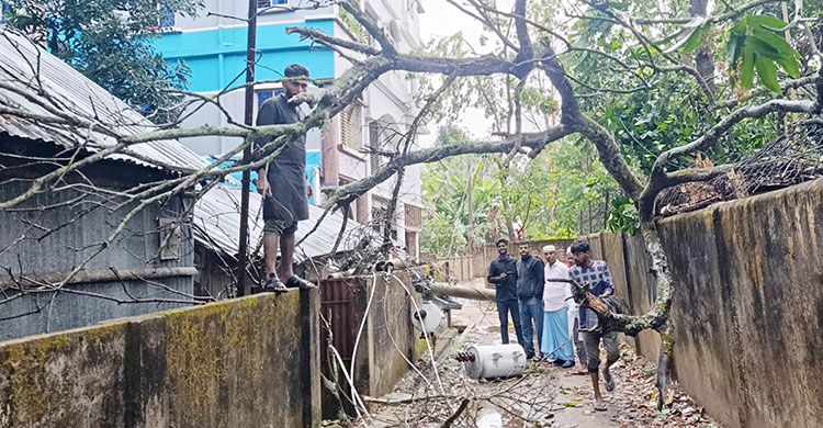 মৌলভীবাজারে কালবৈশাখি ঝড়ে বিদ্যুতের লাইনে ব্যাপক ক্ষতি