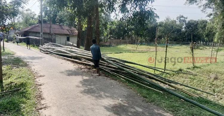 সংরক্ষিত বন থেকে উজাড় হচ্ছে গাছ-বাঁশ