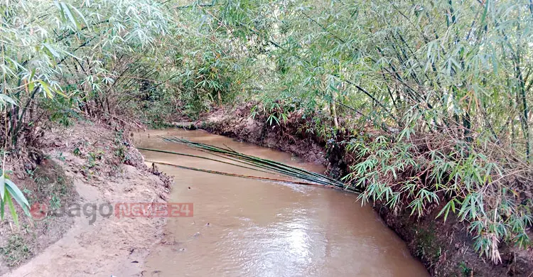 সংরক্ষিত বন থেকে উজাড় হচ্ছে গাছ-বাঁশ