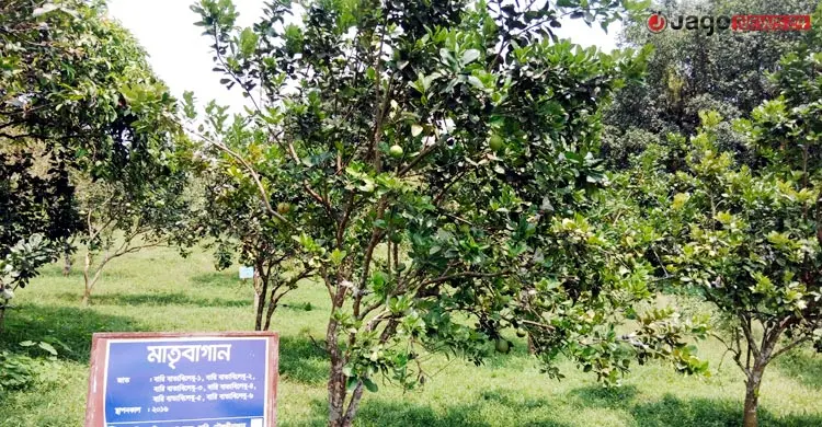 নিরিবিলি পরিবেশে ৪৪ বছর ধরে কাজ করে চলেছে কৃষি গবেষণা কেন্দ্র