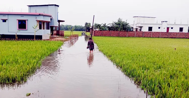মৌলভীবাজারে আকস্মিক বন্যায় পানিবন্দি হাজারো মানুষ