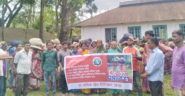 কুলাউড়ায় ৫০০ টাকা মজুরির দাবিতে চা-শ্রমিকদের বিক্ষোভ