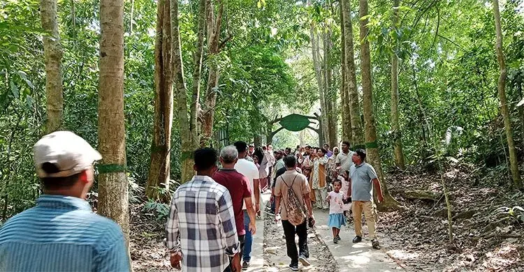 লাউয়াছড়ায় পর্যটকের উপচে পড়া ভিড়