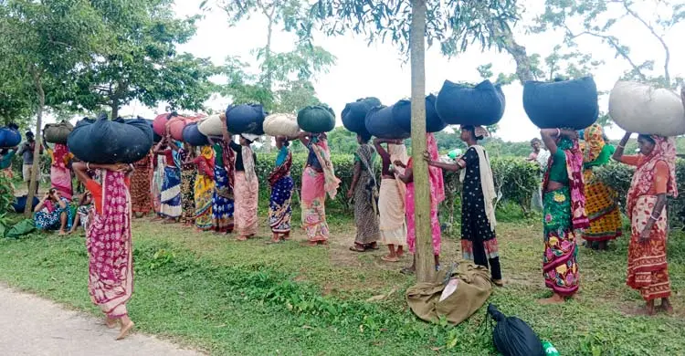৫৮ চা বাগানের প্রভিডেন্ট ফান্ডের টাকা বকেয়া, অনিশ্চয়তায় শ্রমিকরা