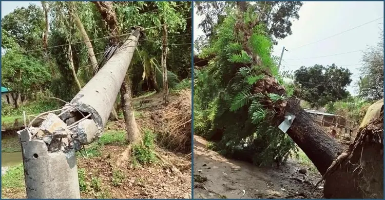 মৌলভীবাজারে কালবৈশাখী ঝড়ে ছিঁড়ে গেছে ২২৫ জায়গার বৈদ্যুতিক তার