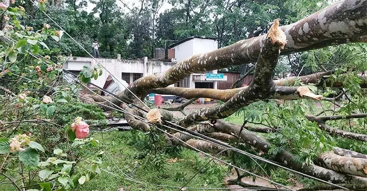 মৌলভীবাজারে কালবৈশাখী ঝড়ে ছিঁড়ে গেছে ২২৫ জায়গার বৈদ্যুতিক তার