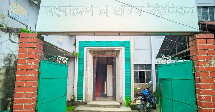 ভোটের অপেক্ষায় চা শ্রমিকরা, আট বছর ধরে বহাল পুরোনো নেতৃত্ব
